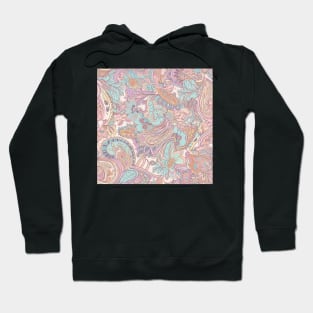 Pretty Pink and Blue Paisley Pattern Hoodie